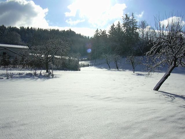 0502-neige004.jpg