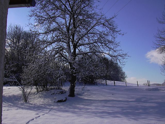 0502-neige010.jpg