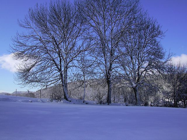 0502-neige011.jpg