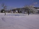 0502-neige002